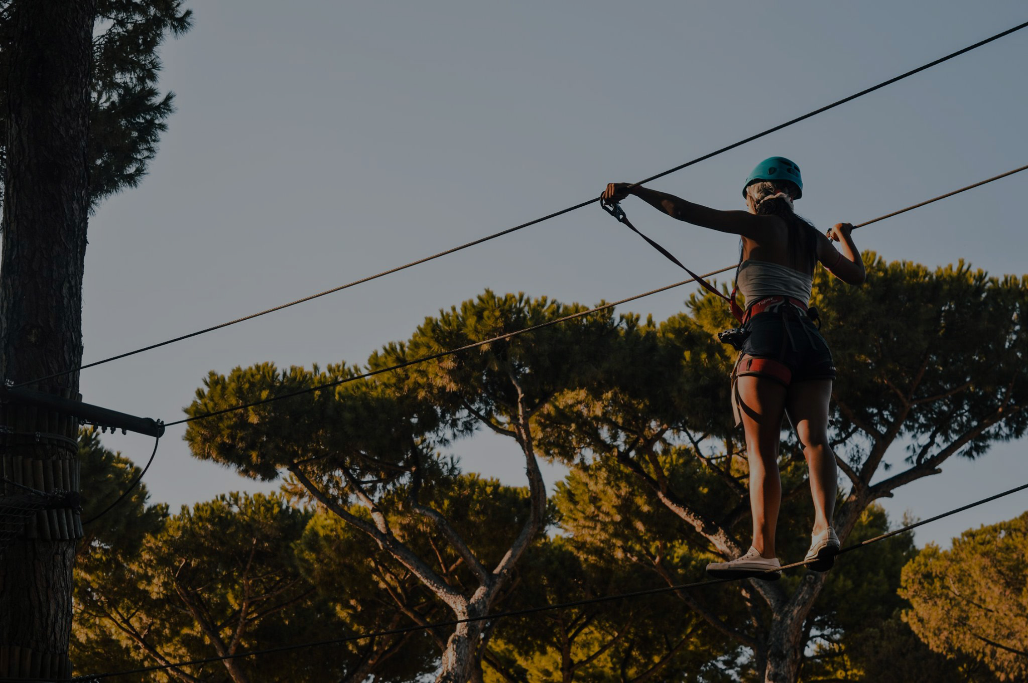 Un percorso sospeso tra gli alberi a Valle Avventura