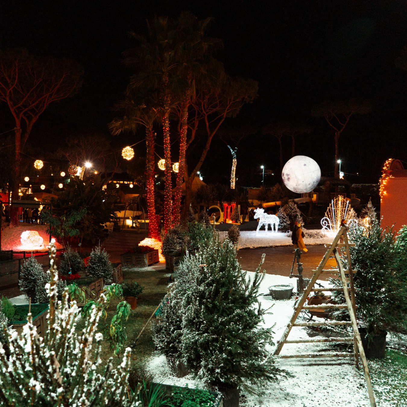 588815851_1253378636823247_2456911895170174727_n (1)