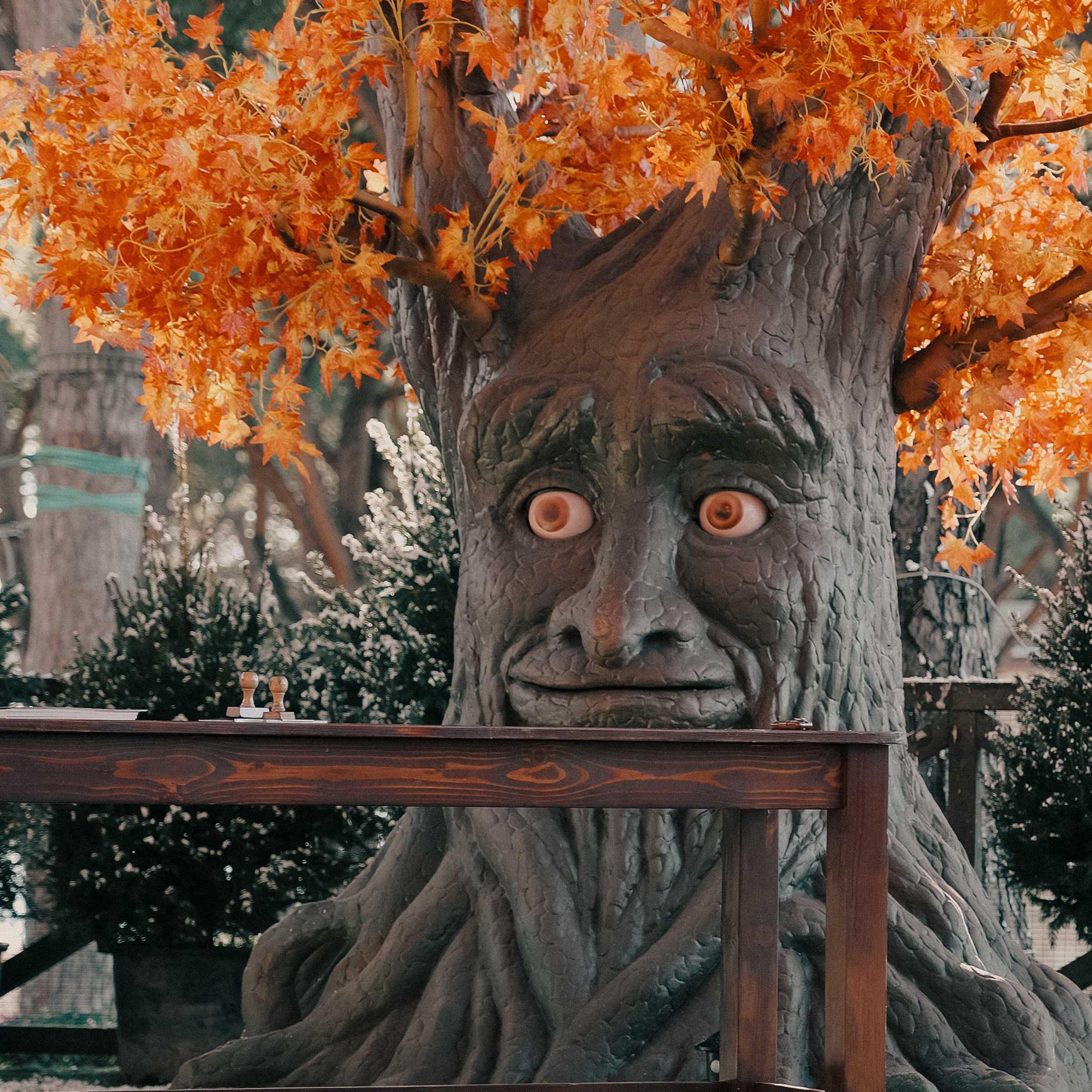 fedro-ritiro-passaporto